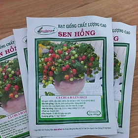 Mua Hạt giống cà chua bi lùn SH123 100 hạt