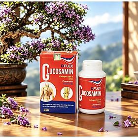Viên uống Glucosamine oflex ND, hộp 60 viên, hỗ trợ xương khớp