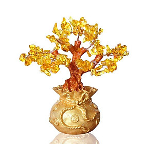 Cây tiền lộc - cây đá dáng vẻ bonsai chậu hình ví tiền nhỏ gold color - đá