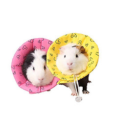 VÒNG BẢO VỆ CHUỘT SÓC THÚ CƯNG NHỎ HAMSTER CHUỘT LANG SÓC BAY DÀNH CHO THÚ CƯNG