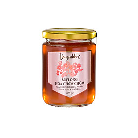 Mật Ong Hoa Chôm Chôm Duy Anh Bee 300g