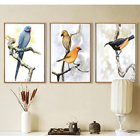 Mua Bộ 3 tranh canvas Chim vành khuyên và vẹt trang trí nhà