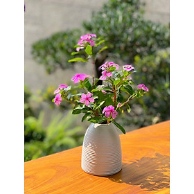 Bình hoa lọ hoa decor trang trí gốm sứ Bát Tràng cao 15cm