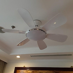 Mua Quạt Trần nguyên nhân DC  Có Đèn LED  nguyên nhân 6 tiêu chuẩn cấp độ Gió Công Xuất 90W khuyến mại Móc cao su đặc Treo