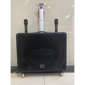 Loa kéo di động Karaoke Hayman X8-15 ( 2 Micro)