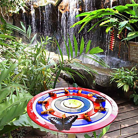 Vé Tham Quan Butterfly Park & Insect Kingdom Singapore