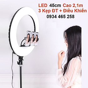 Mua Đèn Led Livestream 26cm 30cm 36cm 45cm 54cm Gồm Chân Đèn Và Kẹp Điện Thoại. Hỗ trợ Livestream  Phun Xăm  Make Up