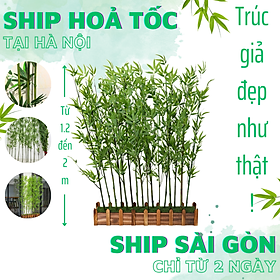 Mua 12 cây trúc giả 150cm nhiều lá - Cây giả  hoa lụa Decor trang trí nhà cửa