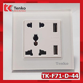 Ổ Cắm Vuông Kính Cường Lực Có Cổng USB Cao Cấp Chống Xước Tenko TK-F71-D-44