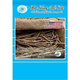 10h Hạt Giống Ngưu Bàng - Chiko (Arctium lappa)
