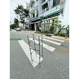 Mua Khung tứ giác trồng hoa của Nhật cao 90-120cm  ống thép bọc nhựa phi 11