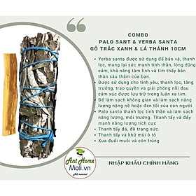 Mua Combo 1 bó lá thánh yerba santa và 1 thanh palo santo tiêu chuẩn 5-6gr Combo08