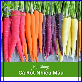 Hạt Giống Cà Rốt Nhiều Màu Mix F1