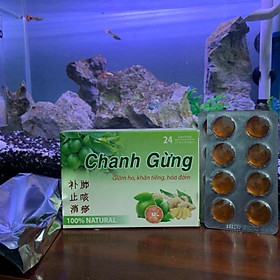 Viên Ngậm Chanh Gừng giảm ho khản tiếng hoá đờm..