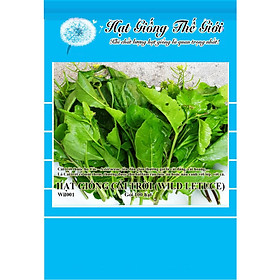 100h Hạt Giống Cải Trời