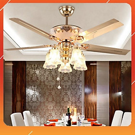 Mua Quạt Trần Đẹp Phát Sáng 2015  Quạt Trần Trang Trí Phòng Khách Hiện Đại  Động Cơ AC
