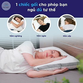 Mua Gối cong Pharmedoc bông mút đàn hồi nâng đỡ cổ  giảm đau HANAKO Phong Cách Quý Tộc Châu Âu