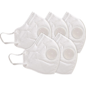 Khẩu Trang Chống Bụi 3D Cao Cấp N96+ (Có Van) Safelife Safemask (Hộp 5 Cái)