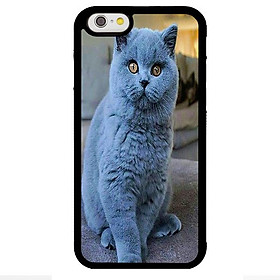 Ốp lưng cho điện thoại Iphone 6 mẫu CB 24 - Hàng chính hãng