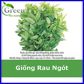 Mua Hạt Giống Rau Bồ Ngót