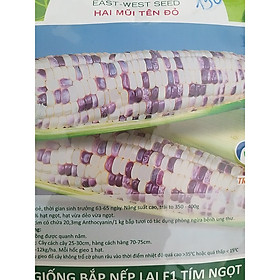 Hạt giống bắp nếp lai F1 Tím Ngọt 099 Hai Mũi Tên Đỏ gói 500g