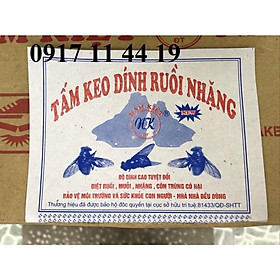Mua Keo dính ruồi siêu dính Nam Kiệt (combo 50 miếng)