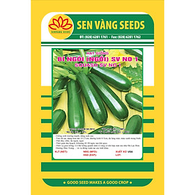 02 gói Hạt giống bí ngòi xanh Mỹ quả dài giống ngắn ngày năng suất cao VTS61