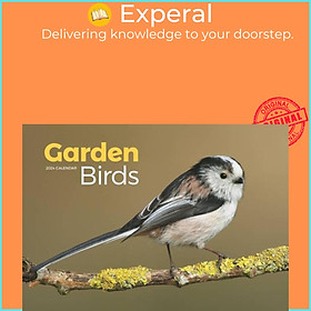 Sách - Garden Birds A4 Calendar 2024 by  (UK edition, paperback)