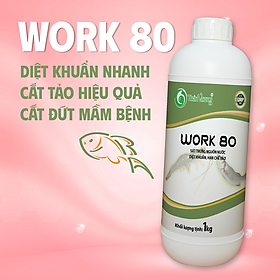 WORK 80 - Sát trùng nước phổ rộng