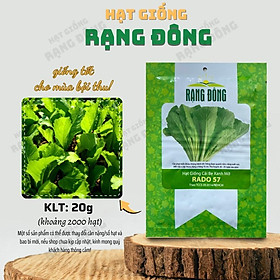 Mua Hạt giống Cải Bẹ Xanh Mỡ Rado 57 (20g~2000 hạt) chịu nhiệt  dễ nảy mầm  trồng quanh năm - Hạt giống Rạng Đông