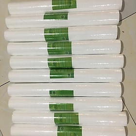 Mua 10 lõi lọc nước thô 20 ing