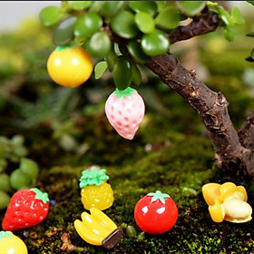 Mua 5 trái cây trang trí tiểu cảnh  terrarium