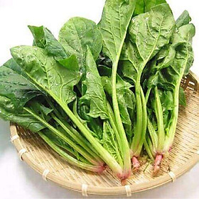 Bộ 1 gói Hạt giống rau bó xôi chịu lạnh