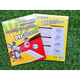 Mua Keo bẫy chuột lớn Procatch chuyên bắt và bẫy chuột lớn  chuột cống  nhiều keo  hàng chuyên xuất khẩu