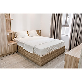 Mua Combo Giường Ngủ MDF phủ Melamine 1.8m x 2m có ngăn kéo tặng Nệm VIP