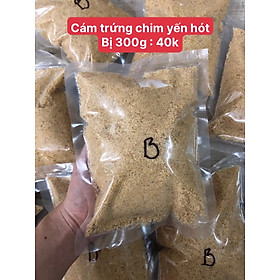 Cám trứng cho chim yến hót