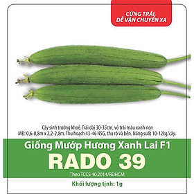 Hạt Giống Mướp Hương Trái Xanh 1 gram