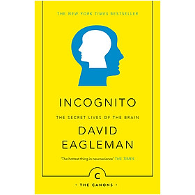 Incognito: The Secret Lives Of The Brain