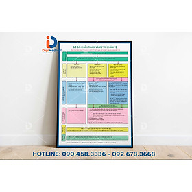 Mua (Tranh Khung) Tranh Sơ Đồ Chẩn Đoán Và Xử Trí Phản Vệ