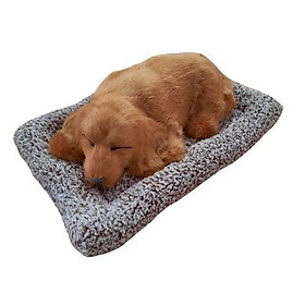 CHÚ CHÓ MÀU VÀNG THAN HOẠT TÍNH KHỬ MÙI & TRANG TRÍ TAPLO Ô TÔ LOẠI LỚN 28CM X 21CM