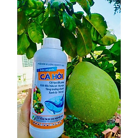 Mua ĐẠM CÁ HỒI- Phân bón vi lượng cải tạo đất  giải độc hữu cơ  hạ mặn