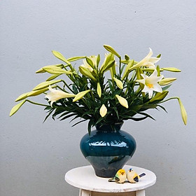 Mua Lọ hoa gốm sứ Bát Tràng cao cấp men hoả biến kính cao 26cm