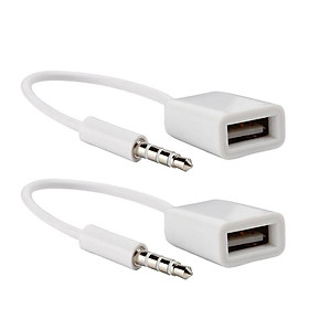 2x 3.5mm Male Audio AUX   to USB 2.0 Type A Female OTG Converter Cable