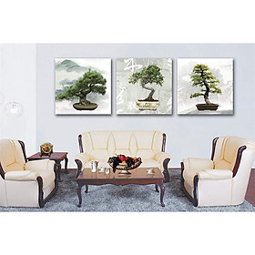 Bộ 3 tranh cây BON SAI  NGHỆ THUẬT ,  RƯỚC TÀI LỘC , MAY MẮN , Tranh treo tường trang trí  phòng ăn, Phòng khách, tặng kèm khung tranh composite PVP-DC36