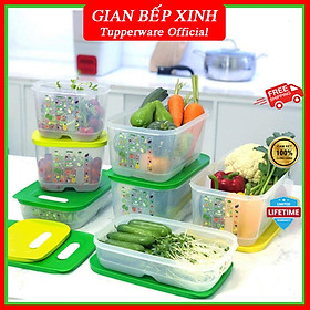Mua (NEW 2022) Bộ hộp trữ mát có nút hô hấp Ventsmart 7 hộp - Tupperware
