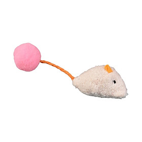 Cat ,  Cat Toy Soft Small Cat Toys for Indoor Cats Interactive Cat Toy for Cats and Kitten
