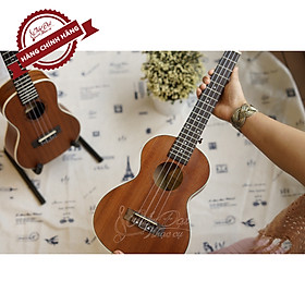 Mua Đàn Ukulele Concert Chard U-24A  Mặt Đàn Gỗ Gụ - Hàng Chính Hãng