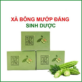 Xà bông mướp đắng Sinh dược - 100g/ bánh