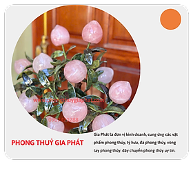 Cây đào phong thuỷ thạch anh hồng 18 quả|phongthuygiaphat