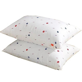 Mua Combo 2  Chiếc Ruột Gối Hơi Chuyên Dùng Cho Khách Sạn Cao Cấp